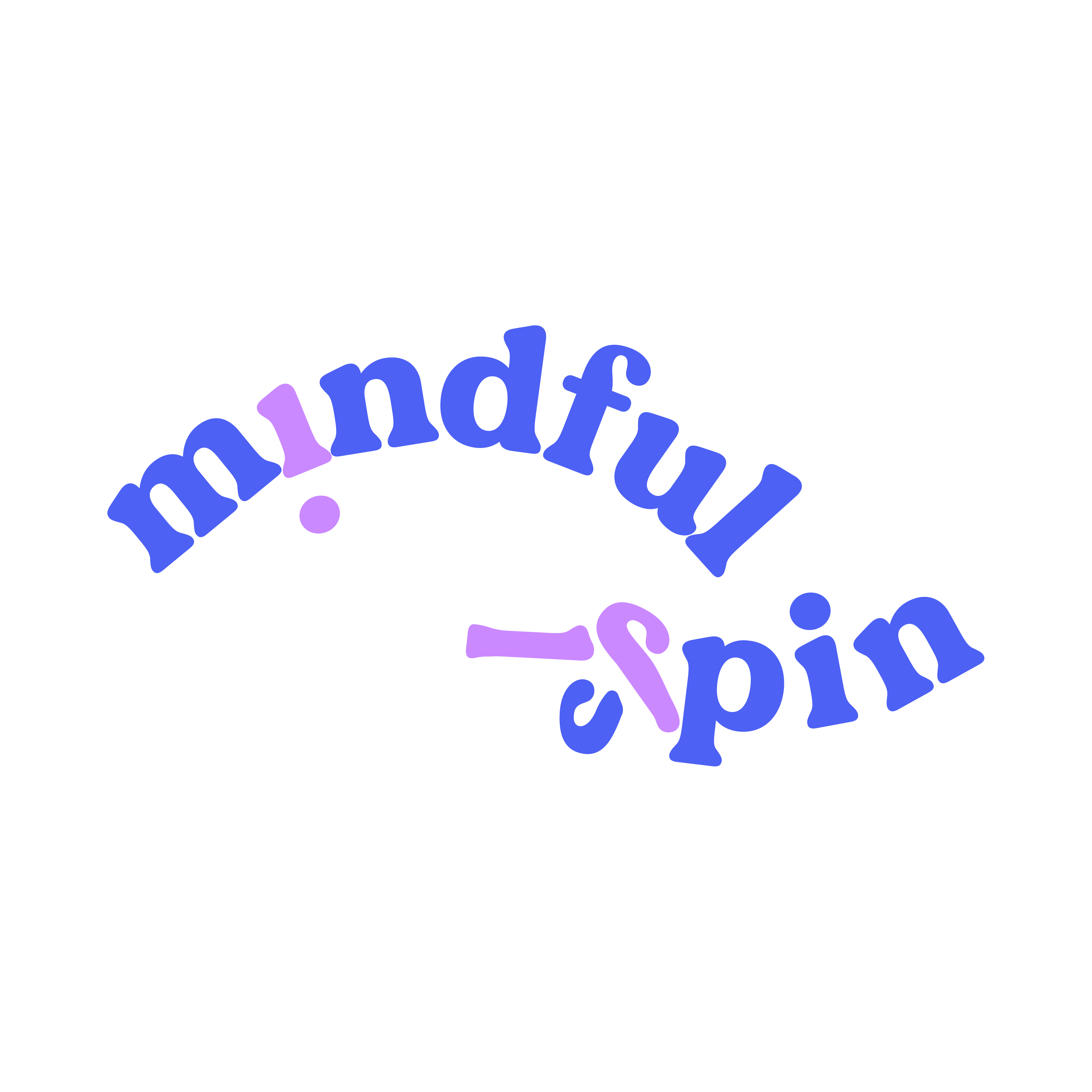 logo of Mindful Spin